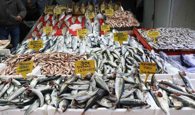 Samsun’da balık fiyatları arttı
 - Samsun’da balıkçılar, hava şartlarının da etkisiyle balık fiyatlarında artış yaşandığını dile getirdi.