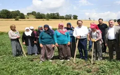 Çiftçilere 129 bin fidan 172 bin tohum desteği yapıldı
