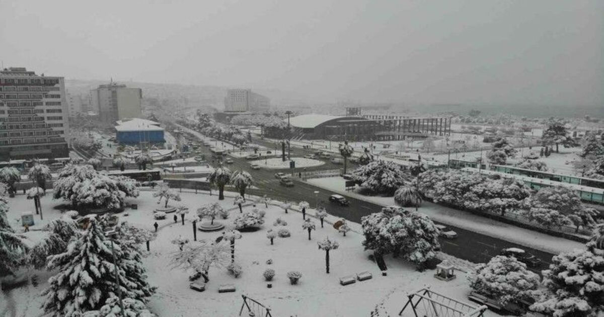 Samsun bembeyaz
