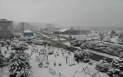 Samsun bembeyaz
