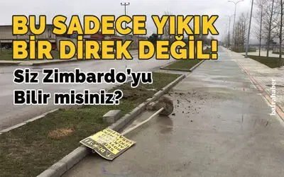 Bu Sadece Yıkık Bir Direk Değil!