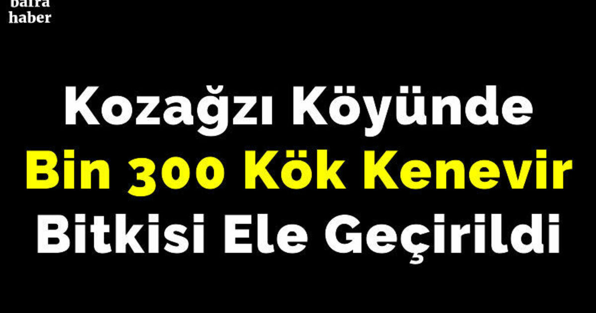 Kozağzı Köyünde Bin 300 Kök Kenevir Bitkisi Ele Geçirildi