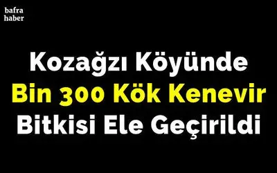 Kozağzı Köyünde Bin 300 Kök Kenevir Bitkisi Ele Geçirildi