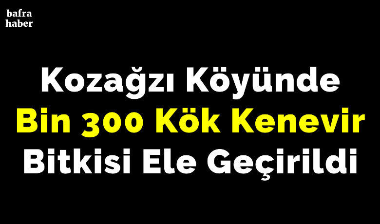 Kozağzı Köyünde Bin 300Kök Kenevir Bitkisi Ele Geçirildi