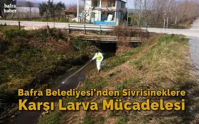 Bafra Belediyesi’nden sivrisineklere karşı larva mücadelesi