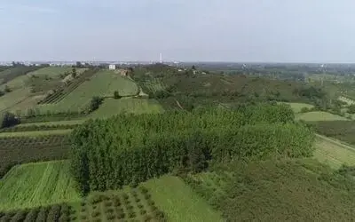 Türkiye’nin en önemli ovalarından biri ’orman’a dönüşüyor