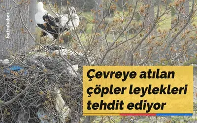 Çevreye atılan çöpler leylekleri tehdit ediyor