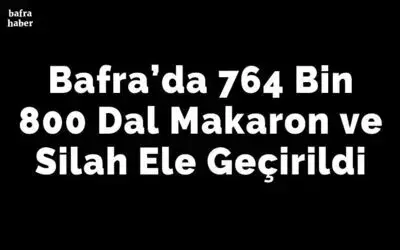 Bafra’da 764 Bin 800 Dal Makaron Ve Silah Ele Geçirildi