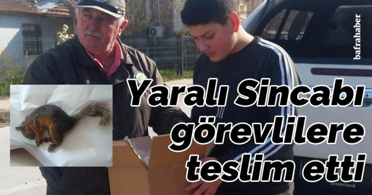 Ortaokul Öğrencisi Yaralı Sincabı Görevlilere Teslim Etti