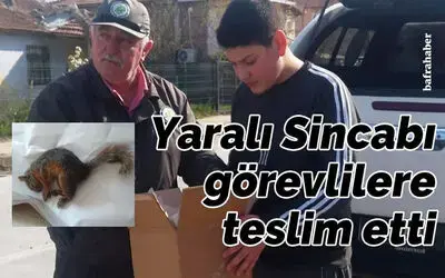 Ortaokul Öğrencisi Yaralı Sincabı Görevlilere Teslim Etti