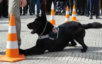 Samsun’da 10 Nisan Polis Bayramı kutlamaları
