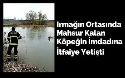 Irmağın Ortasında Mahsur Kalan Köpeğin İmdadına İtfaiye Yetişti