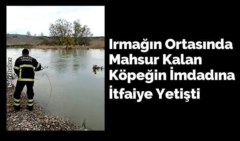 Irmağın Ortasında Mahsur Kalan Köpeğin İmdadına İtfaiye Yetişti