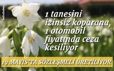 19 Mayıs'ta üretiliyor: 1 tanesini izinsiz koparana, 1 otomobil fiyatında ceza 