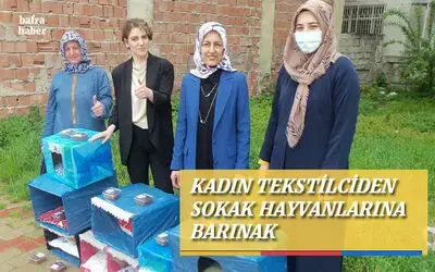 Kadın Tekstilciden Sokak Hayvanlarına Barınak