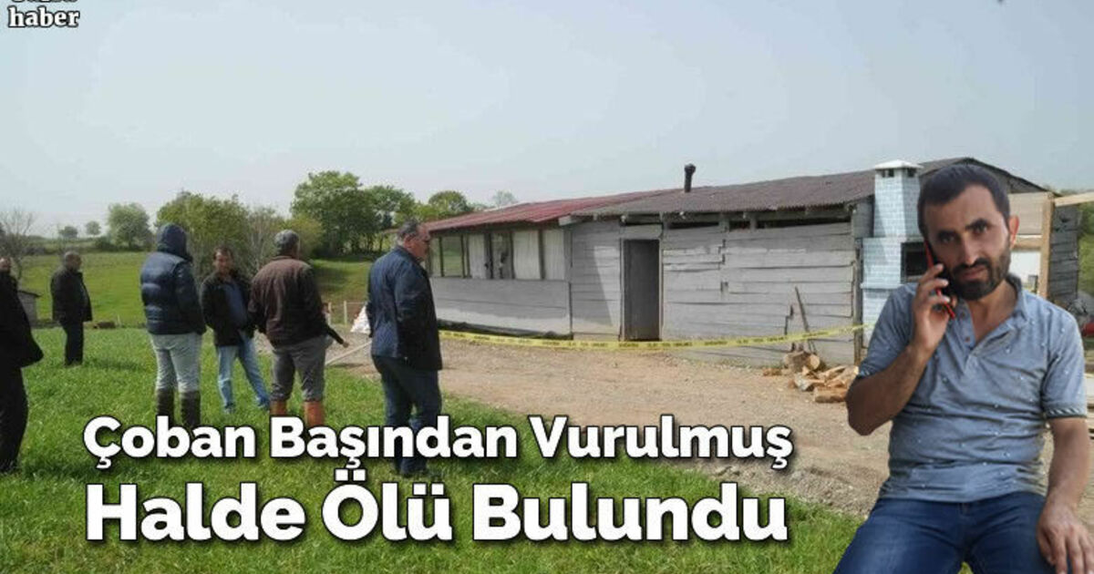 Bafra'da Çoban başından vurulmuş halde ölü bulundu