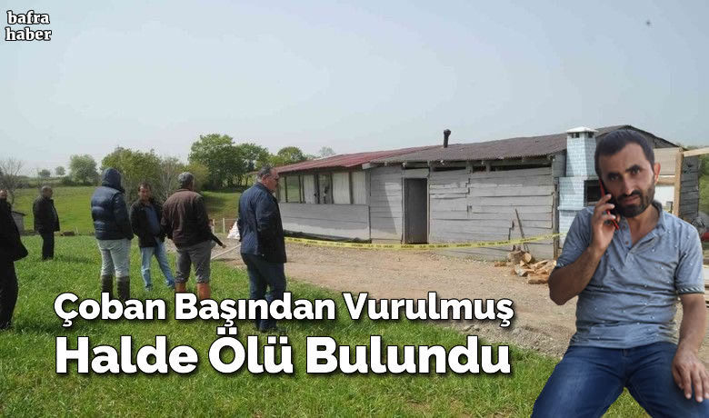 Bafra'da Çoban başından vurulmuş halde ölü bulundu
