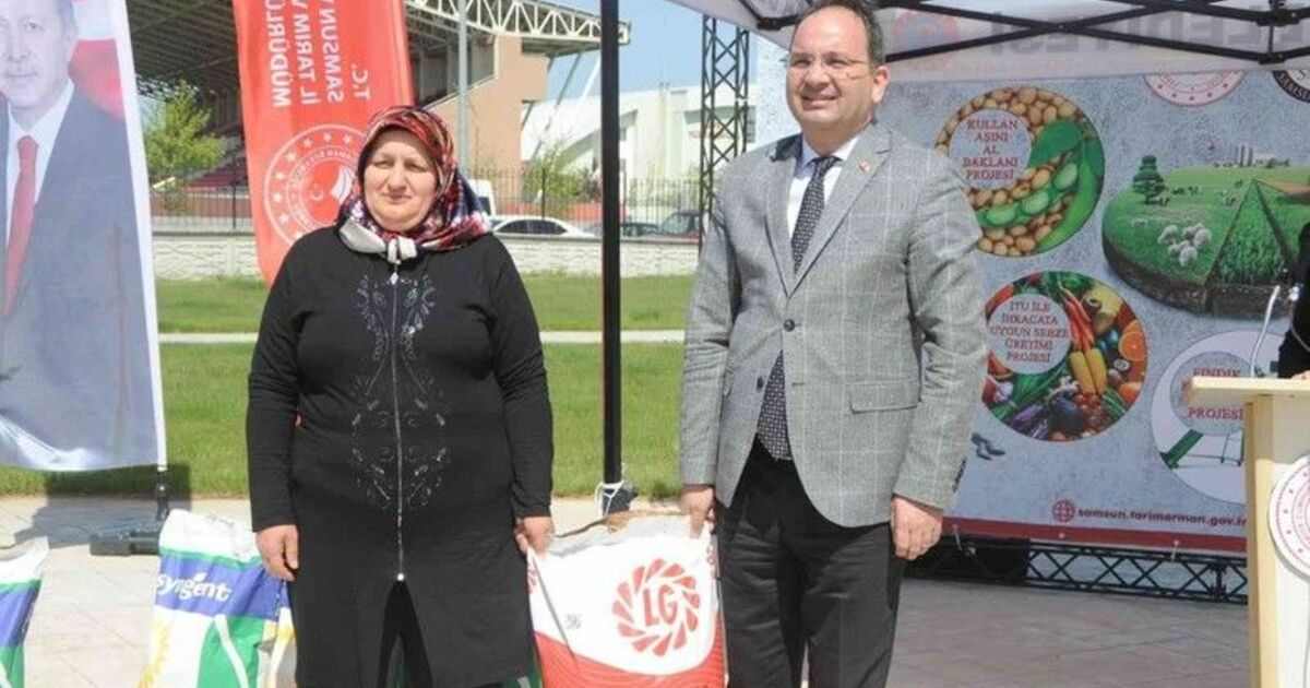 Bafra’da çiftçilere ayçiçeği tohumu dağıtıldı