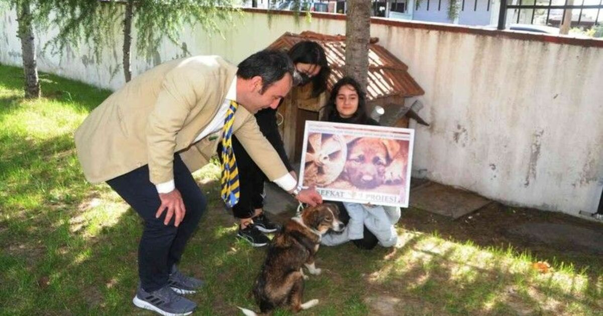 Öğrencilerin ’Bal’ı
