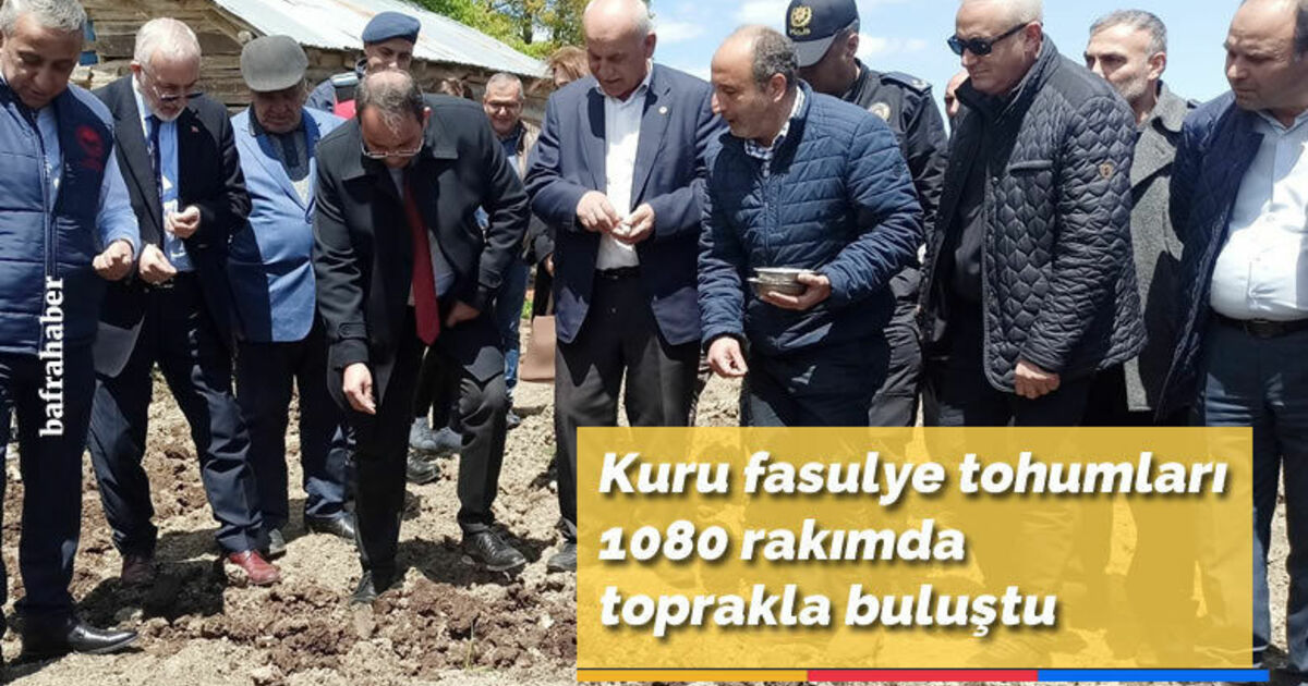 Kuru fasulye tohumları 1080 rakımda toprakla buluştu
