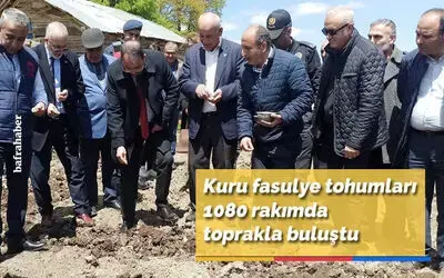 Kuru fasulye tohumları 1080 rakımda toprakla buluştu