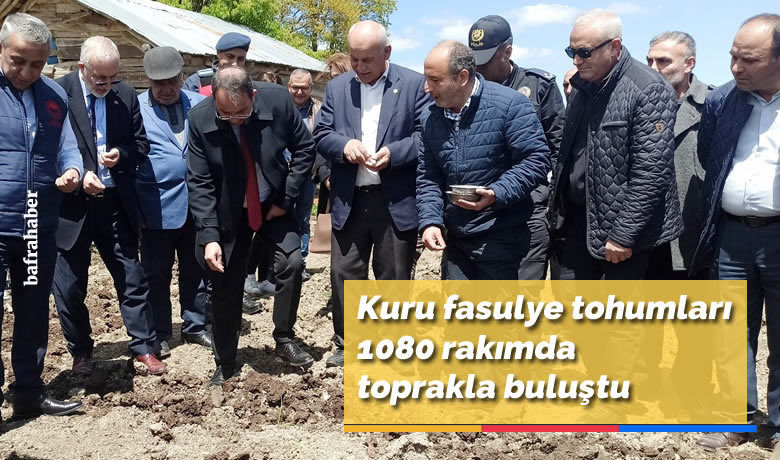 Kuru fasulye tohumları1080 rakımda toprakla buluştu