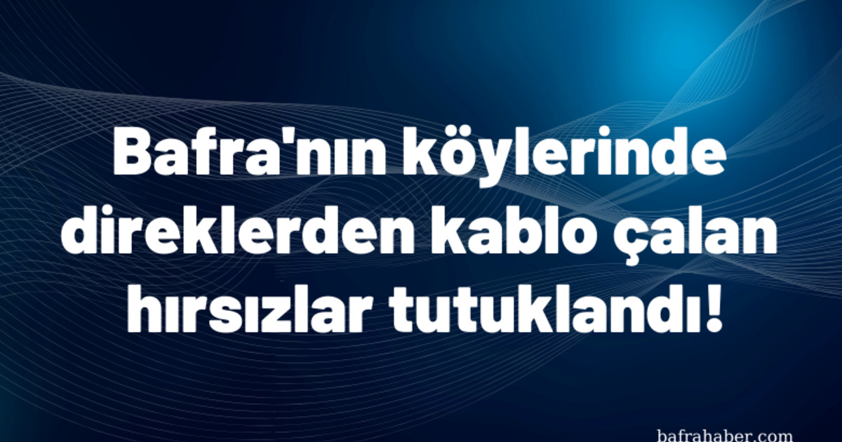 Bafra'nın köylerinde direklerden kablo çalan hırsızlar tutuklandı!