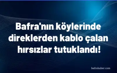 Bafra'nın köylerinde direklerden kablo çalan hırsızlar tutuklandı!