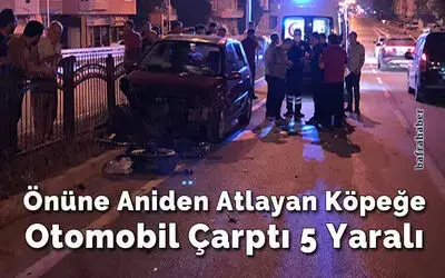 Önüne Aniden Atlayan Köpeğe Otomobil Çarptı 5 Yaralı
