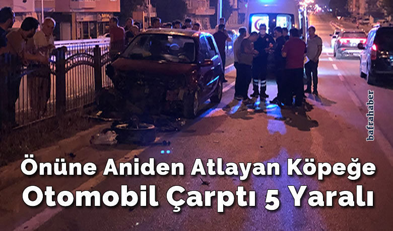 Önüne Aniden Atlayan KöpeğeOtomobil Çarptı 5 Yaralı