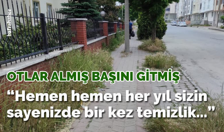 Otlar almış başını gitmiş