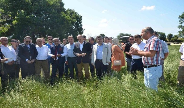 İlkadım Çeşidi İtalyan ÇimiYem Bitkisi Yetiştiriciliği Tarla Günü - Tarım ve Orman Bakanlığı Eğitim ve Yayın Dairesi Başkanlığı kaynaklı olarak 2021 yılında Samsun İl Tarım ve Orman Müdürlüğü ve Karadeniz Tarımsal Araştırma Enstitüsü Müdürlüğü tarafından birlikte yürütülen “İlkadım Çeşidi İtalyan Çimi Yem Bitkisi Yetiştiriciliği Projesi" kapsamında Samsun’un Bafra ilçesinde tarla günü düzenlendi.