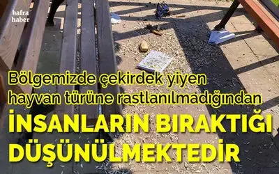 Çöp Tenekesi Boş Yanı Çöp Dolu!