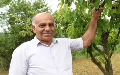 Örnek muhtar
