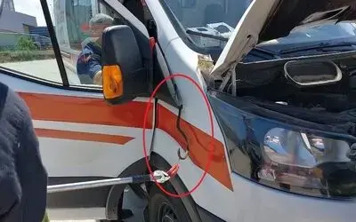 Ambulansa yılan girdi
