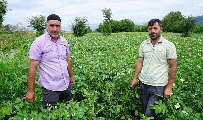 Patates üretiminde yüzde 20 artış
 - Samsun Büyükşehir Belediyesi’nin tohum desteğinden yararlanan patates üreticileri, bu yıl verimde yüzde 20 oranında artış bekliyor.