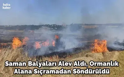 Saman balyaları alev aldı, ormanlık alana sıçramadan söndürüldü