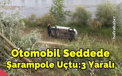 Otomobil Seddede Şarampole Uçtu:3 Yaralı