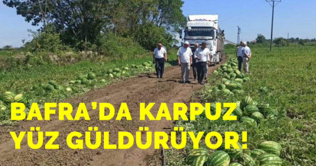 Bafra'da karpuz yüz güldürüyor