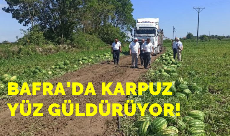 Bafra'da karpuz yüz güldürüyor - Samsun’un Bafra Ovası’nda hasadına başlanan karpuz, tüm Türkiye’de damakları tatlandırıyor.