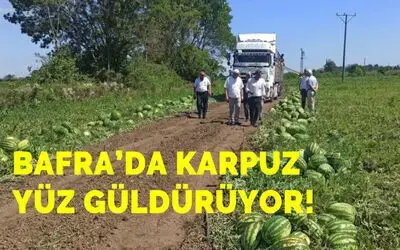 Bafra'da karpuz yüz güldürüyor