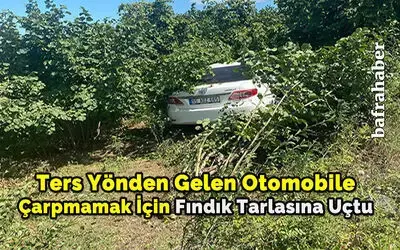Ters Yönden Gelen Otomobile Çarpmamak İçin Fındık Tarlasına Uçtu