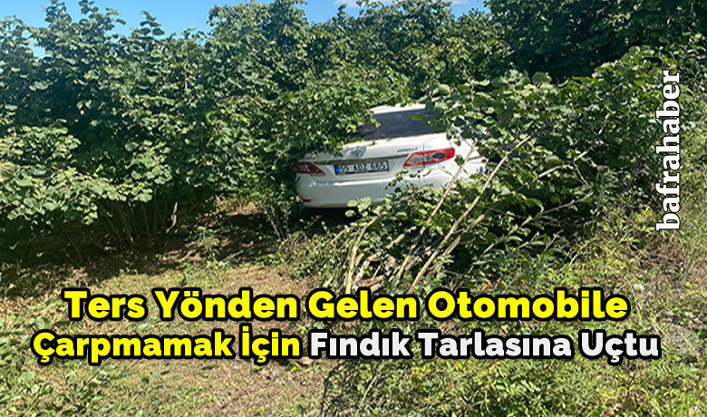 Ters Yönden Gelen Otomobile Çarpmamak İçin Fındık Tarlasına Uçtu
