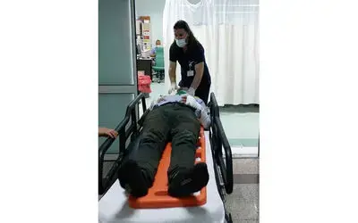 Arının soktuğu motosiklet sürücüsü kaza yaptı
