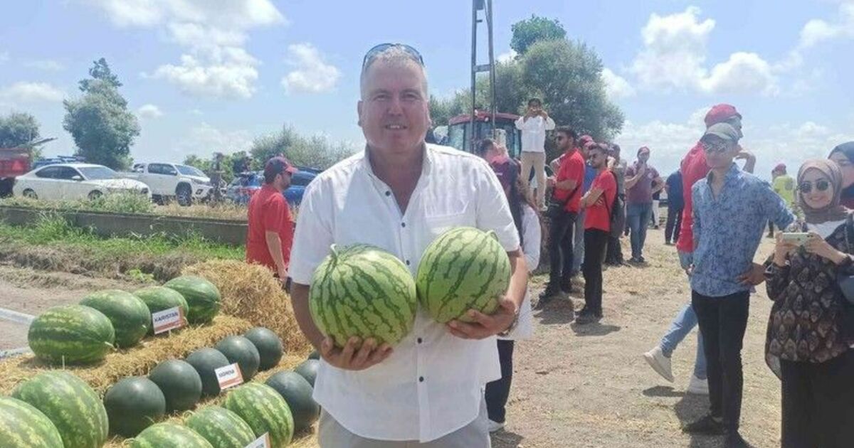 Bafra Ovası’nda karpuz tarla günü
