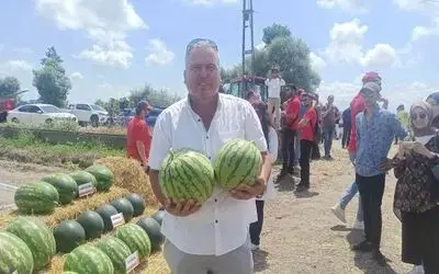 Bafra Ovası’nda karpuz tarla günü
