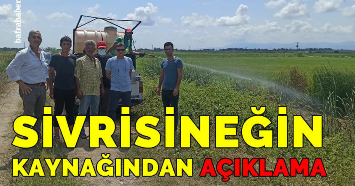 Sivrisineğin kaynağından açıklama