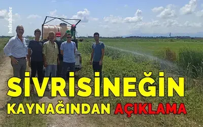 Sivrisineğin kaynağından açıklama