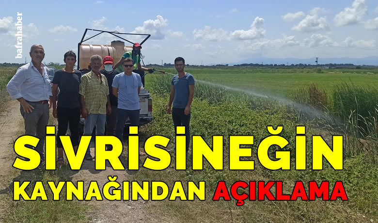Sivrisineğin kaynağından açıklama - Çeltik Üreticileri Birliği üyesinden, Bafra Haber'in sivrisinek ile ilgili anketi sonrasına denk gelen bir açıklama geldi.