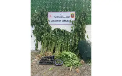 Jandarmadan uyuşturucu operasyonu: 2 gözaltı
